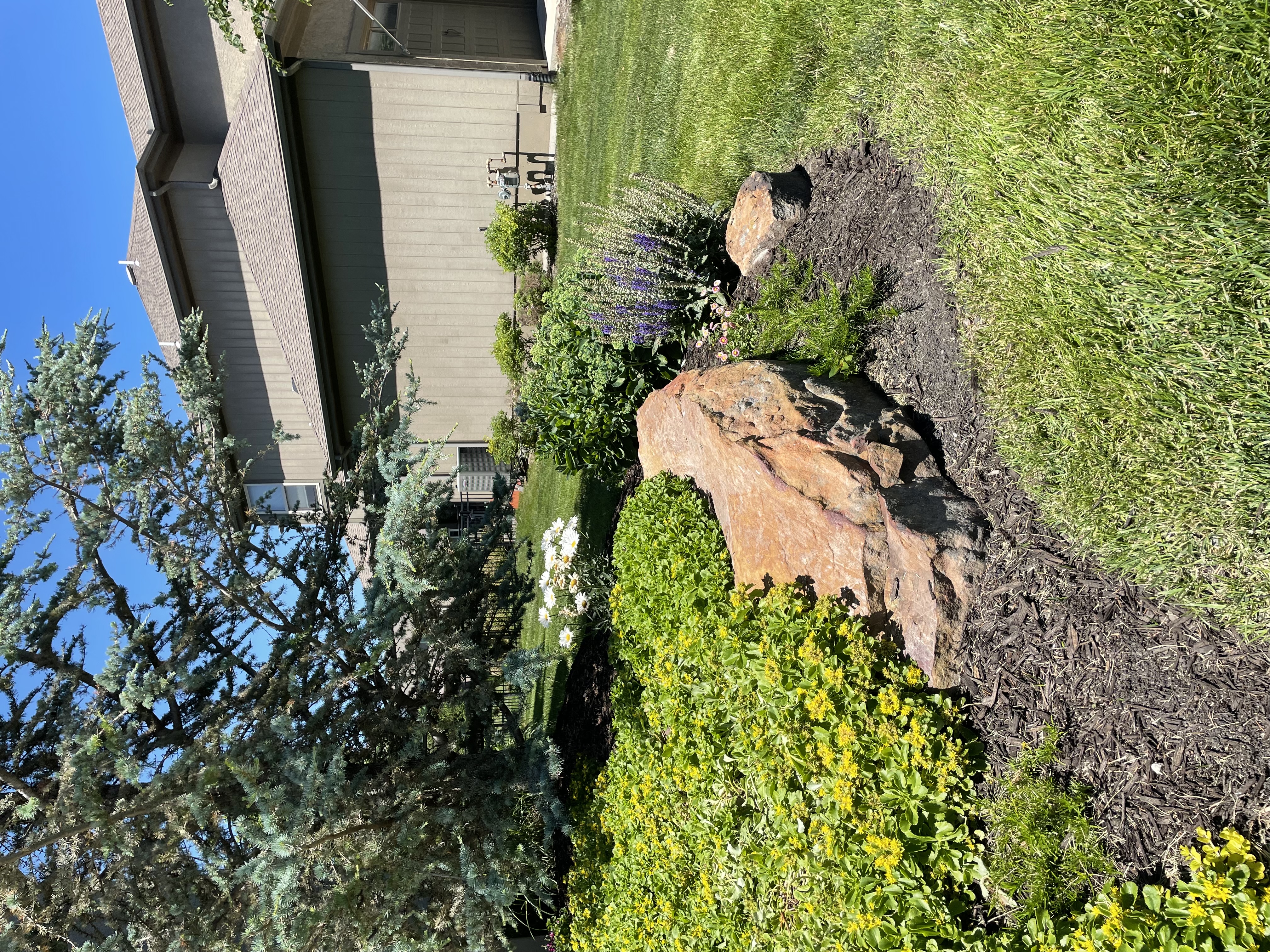 Community photo